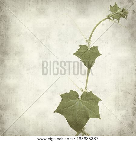 Textured Old Paper Background