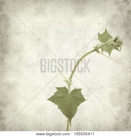 Textured Old Paper Background