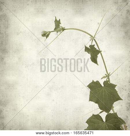 Textured Old Paper Background