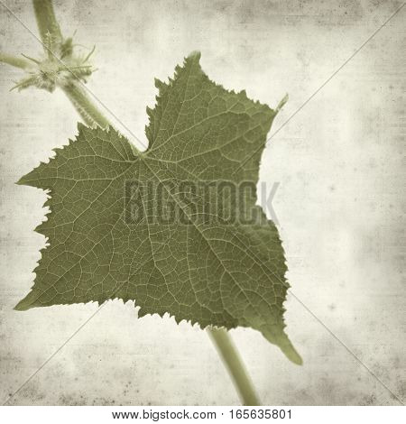 Textured Old Paper Background