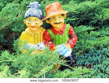 Two gnomes in conifers in the garden