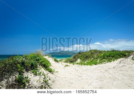 Sand Path To The Blue Ocean In The Background On A Beautiful Summer Day. Beach Of Santa Catarina, Br