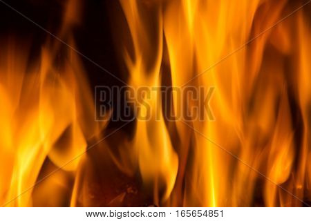 Background on black forks of flames yellow orange and red