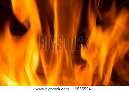 blaze fire flame texture background Foto. Background