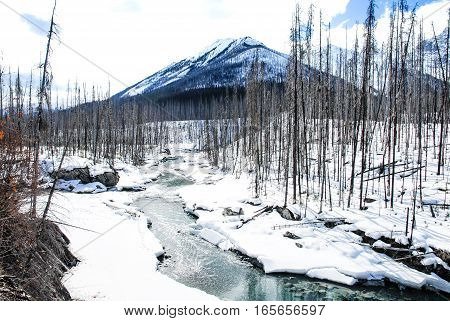 River and Mountain Range in Kootenay Canadian Rockies