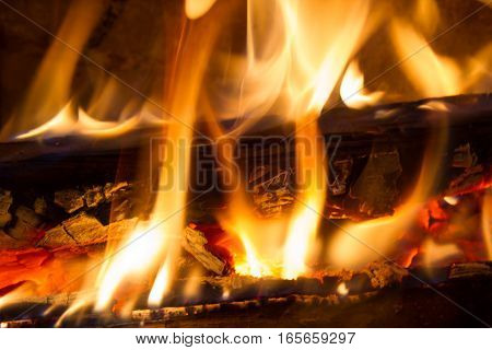 Burning firewood in the fireplace close up.