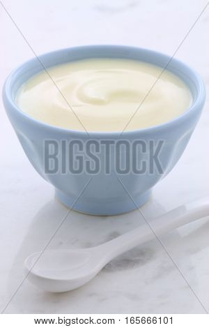 Fresh Plain Yogurt