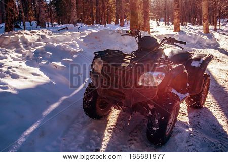 Rent of quadracycles in winter forest for riding on snow track