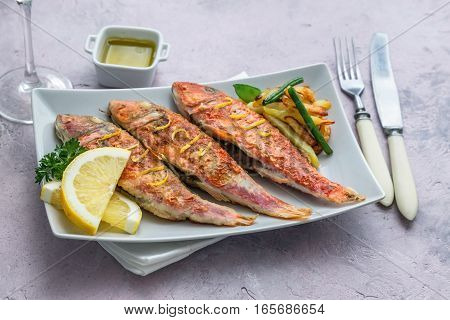 Grilled red mullets on square plate selective focus on front