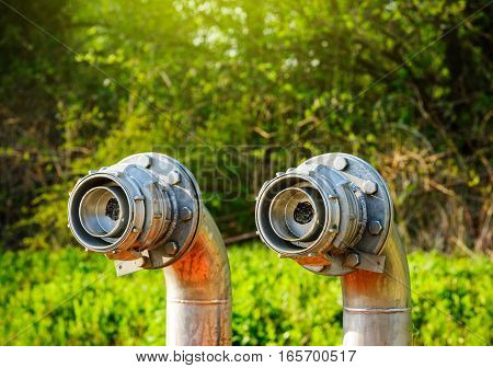 Steel Pipes In Forest