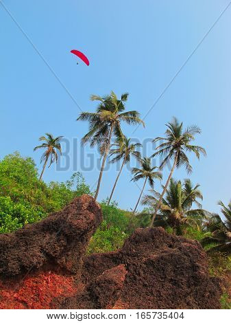 Red paraglider flies over the palm trees on the ocean beach