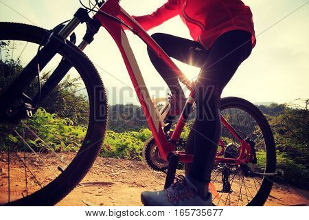 young woman riding mountain bike on forest trail