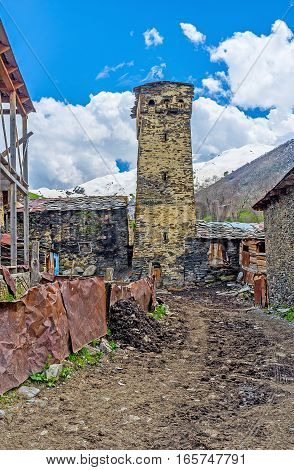 The Dirt In Village