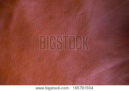 Background Of Genuine Cow Leather