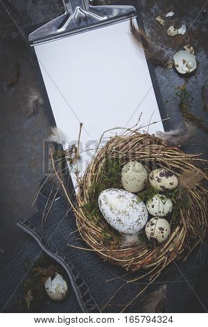 Oster Dekoration Mit Nest Und Ei Auf Dunklem Hintergrund