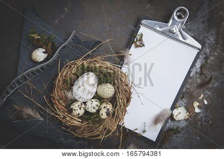 Oster Dekoration Mit Nest Und Ei Auf Dunklem Hintergrund