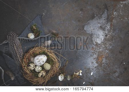 Oster Dekoration Mit Nest Und Ei Auf Dunklem Hintergrund