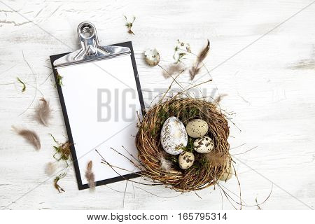 Oster Dekoration Mit Nest Und Ei Auf Weißem Holz Hintergrund