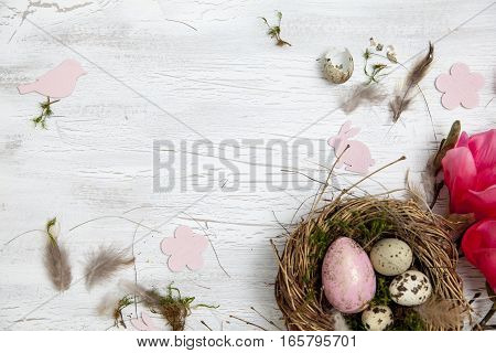 Oster Dekoration Mit Nest Und Ei Auf Weißem Holz Hintergrund