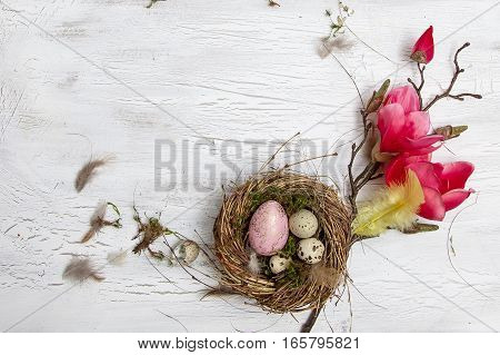 Oster Dekoration Mit Nest Und Ei Auf Weißem Holz Hintergrund