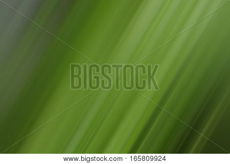 Rays of lines with deep green gradient color