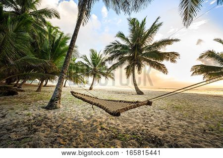 Hammock Between Palms On Sandy Beach