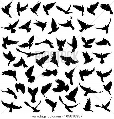 Concept of love or peace. Set silhouettes doves. Vector illustration.