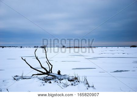 Snowy plain winter landscape with a fallen dead tree trunk