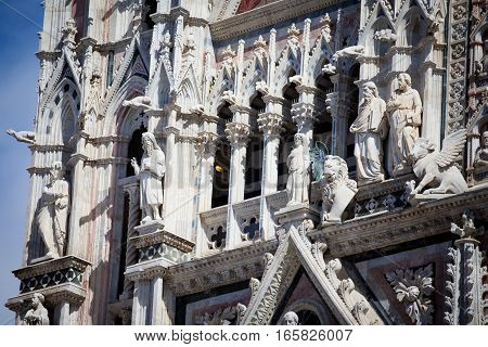 Siena Cathedral In Tuscany, Italy