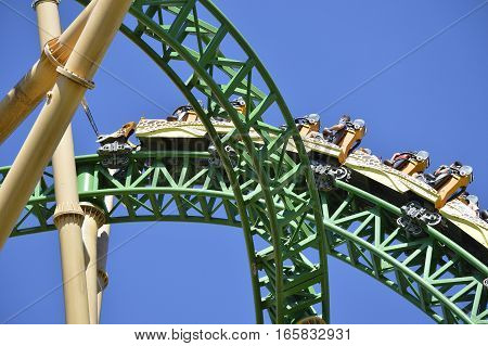 Busch Gardens Tampa Florida USA - October 31 2016: Tourists on Cheetah Hunt roller coaster in Busch Gardens Tampa