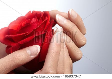 Beautiful female arms with ideal french manicure on black background. Care about female hands healthy soft skin. Spa and cosmetics. Beauty care. Close-up of beautiful famele fingers with nails polish