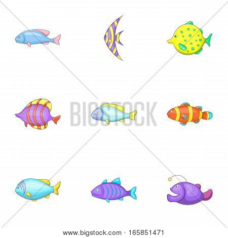 Marine fish species icons set. Cartoon illustration of 9 marine fish species vector icons for web
