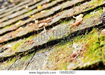 Architecture detail with old and weathered wooden roof tiles