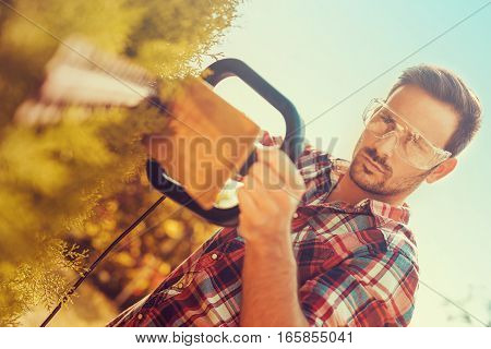 Hedge trimmingworks in a garden.Young gardener with a professional garden tools at work.