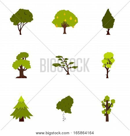 Arboreal plant icons set. Flat illustration of 9 arboreal plant vector icons for web