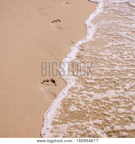 Footprints in the sand.  Ocean beach scene with waves in steps imprinted into wet tropical sands.  Scenic travel destination location with concept of relaxation and leisure.