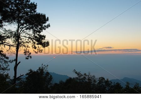 Sunrise In The Morning,