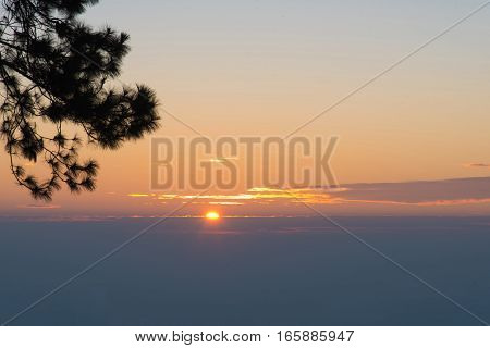 Sunrise In The Morning,