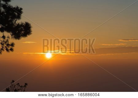Sunrise In The Morning,