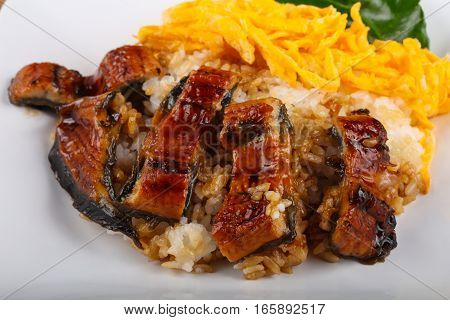 Unaju - Eel With Rice