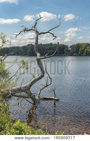 The lake by Kronobergs castle ruin in the smaland region of Sweden close to the city of Vaxjo.
