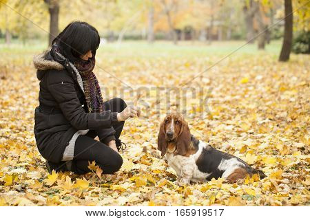 The woman with a dog in the park Selective focus and small depth of field lens flare