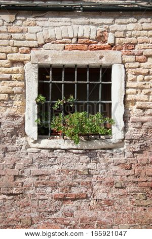 A secure window with solid iron bars within an aging brick wall building.
