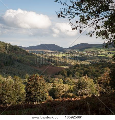 The countryside near Malahide, Ireland, on a bright and sunny autumnal day.