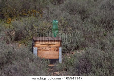 Simple wooden beehive in little karoo desert vegetaton, South Africa