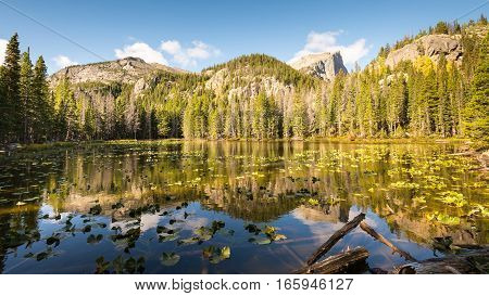 Hallett Peak reflection in Nymph Lake, in the Tyndall Gorge area of Rocky Mountain National Park, near Estes Park, Colorado.