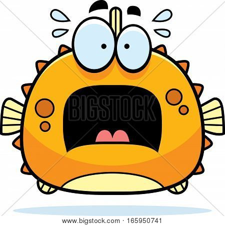 Scared Little Blowfish