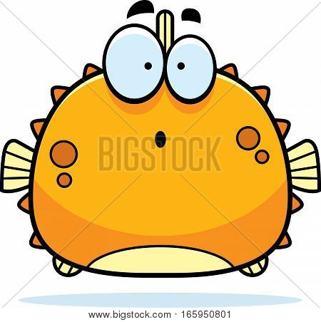Surprised Little Blowfish