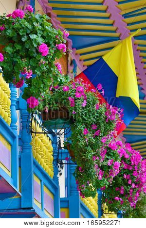 September 23, 2016 Filandia, Colombia: colonial style wooden balconies decorated with blooming flowers in the centre of the coffee producing small town
