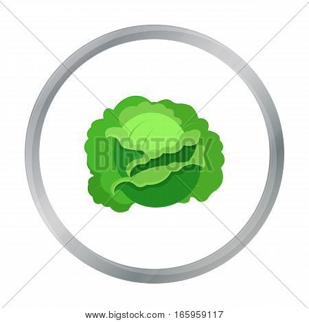 Cabbage icon cartoon. Single plant icon from the big farm, garden, agriculture cartoon. - stock vector